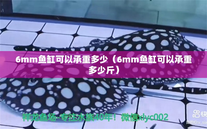 6mm魚缸可以承重多少（6mm魚缸可以承重多少斤）