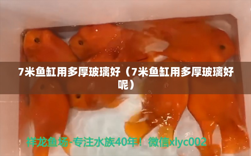 7米魚缸用多厚玻璃好（7米魚缸用多厚玻璃好呢） 其他品牌魚缸