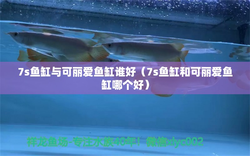 7s魚缸與可麗愛魚缸誰好（7s魚缸和可麗愛魚缸哪個好）