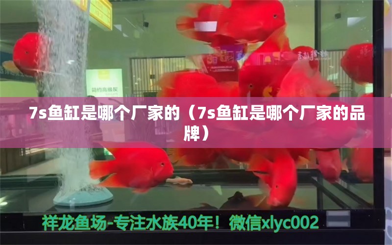 7s魚缸是哪個廠家的（7s魚缸是哪個廠家的品牌）