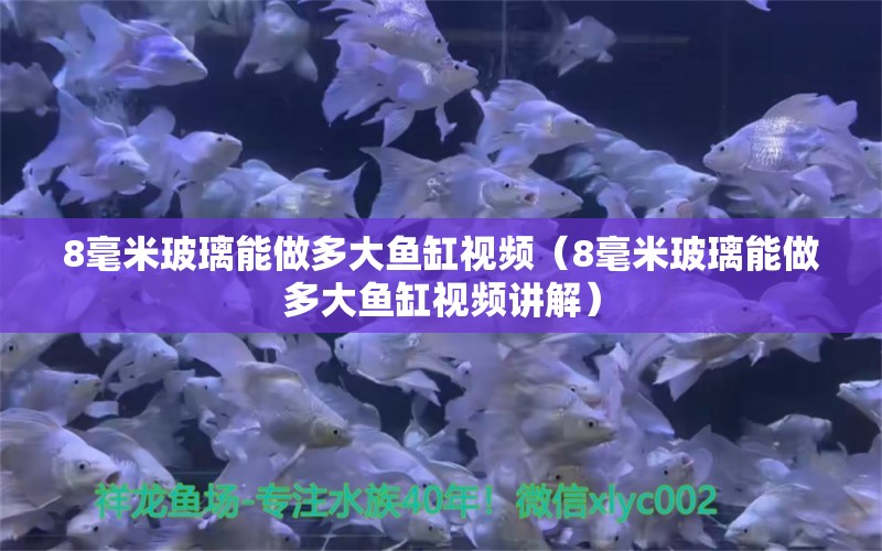 8毫米玻璃能做多大魚缸視頻（8毫米玻璃能做多大魚缸視頻講解）