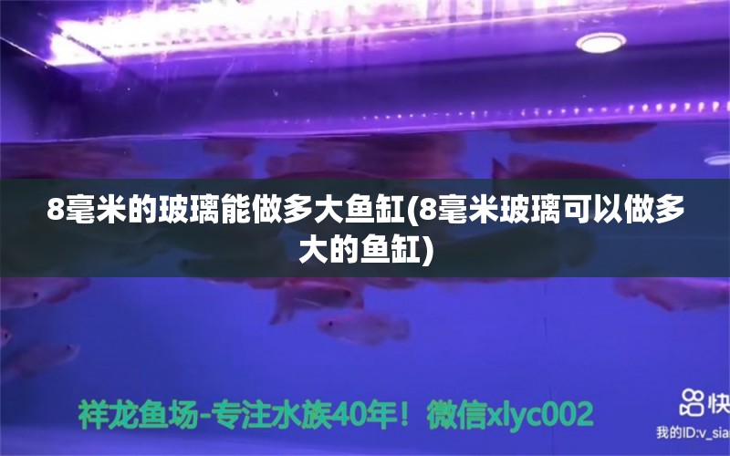 8毫米的玻璃能做多大魚缸(8毫米玻璃可以做多大的魚缸) 水族燈（魚缸燈）