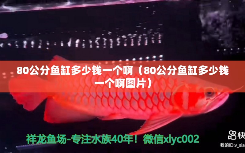 80公分魚缸多少錢一個?。?0公分魚缸多少錢一個啊圖片）