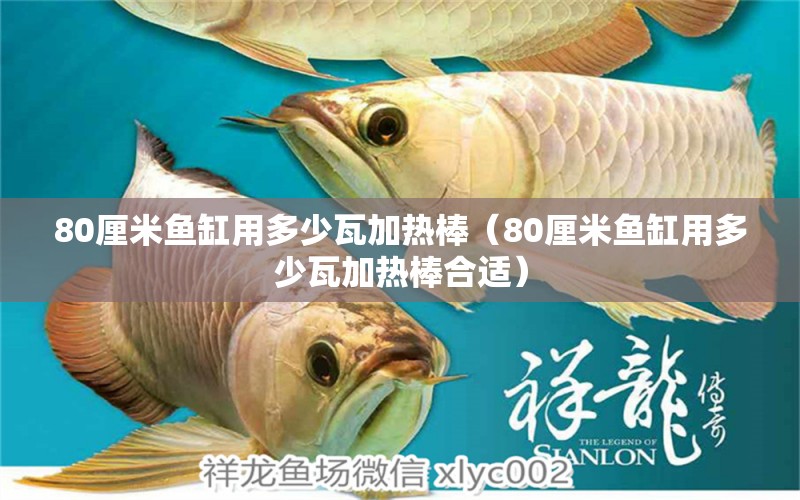 80厘米魚缸用多少瓦加熱棒（80厘米魚缸用多少瓦加熱棒合適） 皇冠黑白魟魚