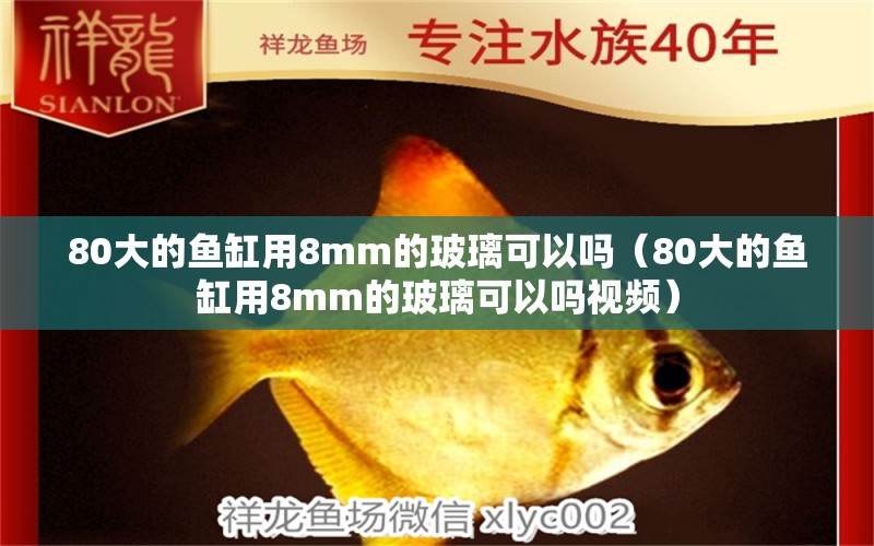 80大的魚缸用8mm的玻璃可以嗎（80大的魚缸用8mm的玻璃可以嗎視頻）