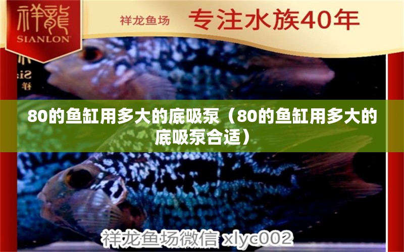 80的魚缸用多大的底吸泵（80的魚缸用多大的底吸泵合適）