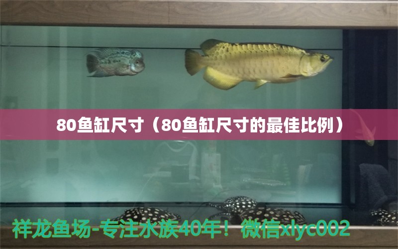 80魚缸尺寸（80魚缸尺寸的最佳比例） 養(yǎng)魚知識(shí)