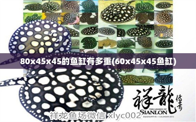 80x45x45的魚缸有多重(60x45x45魚缸) 青龍魚