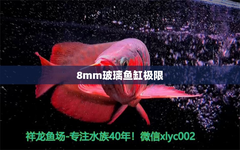 8mm玻璃魚缸極限