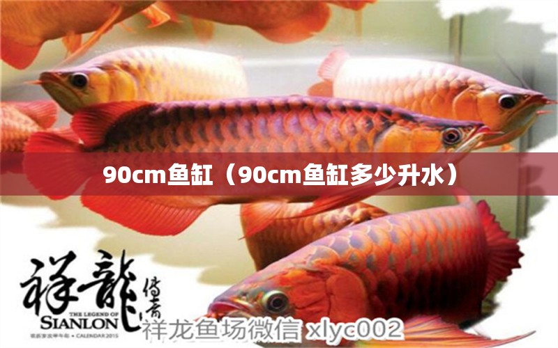 90cm魚(yú)缸（90cm魚(yú)缸多少升水） 祥龍水族醫(yī)院