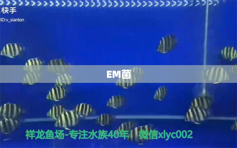 EM菌