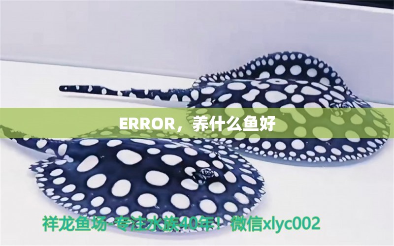 ERROR，養(yǎng)什么魚好 養(yǎng)魚的好處 第1張