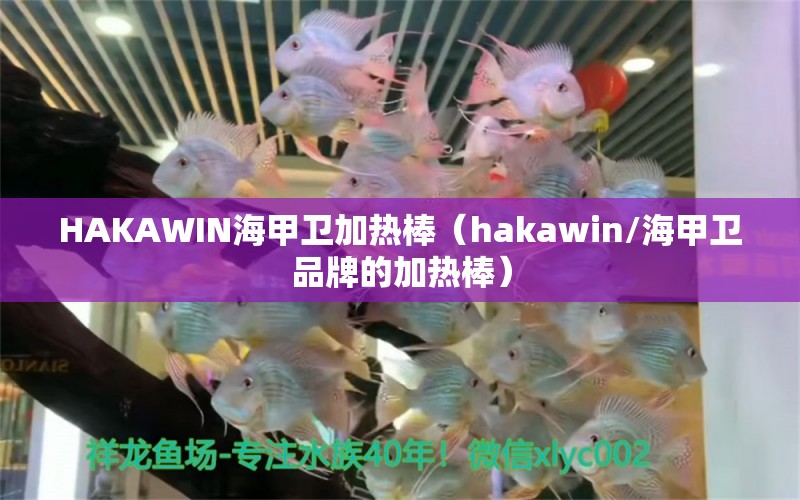 HAKAWIN海甲衛(wèi)加熱棒（hakawin/海甲衛(wèi)品牌的加熱棒） 大白鯊魚苗 第2張