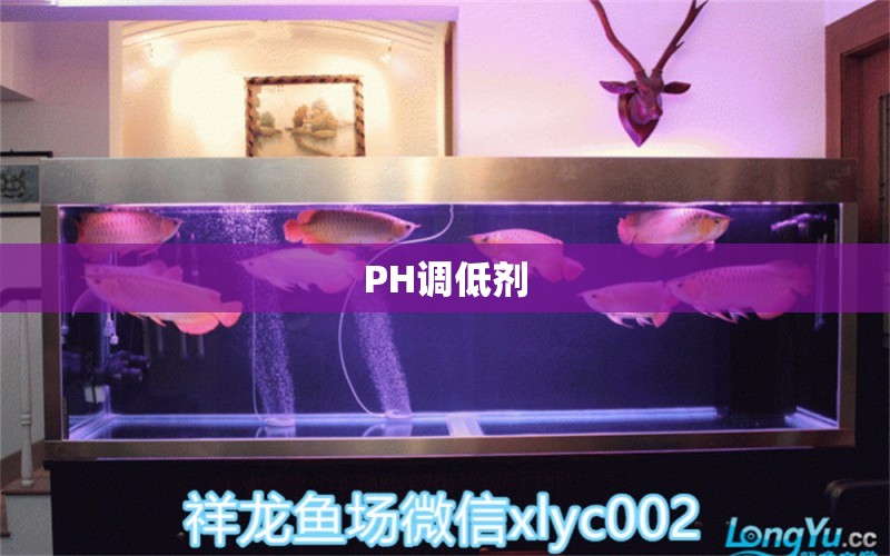 PH調低劑 廣州水族器材濾材批發(fā)市場