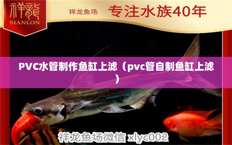 PVC水管制作魚缸上濾（pvc管自制魚缸上濾） 元寶鳳凰魚專用魚糧