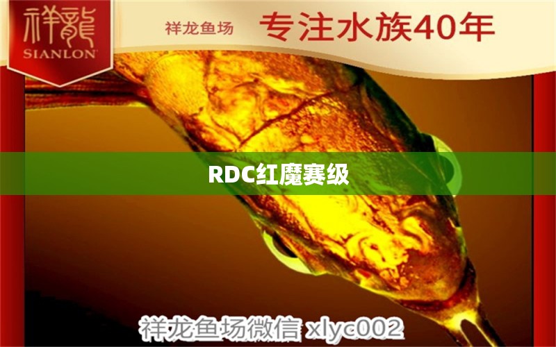 RDC紅魔賽級(jí) 祥龍龍魚專用水族燈