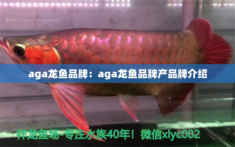 aga龍魚品牌：aga龍魚品牌產(chǎn)品牌介紹 龍魚百科 第2張