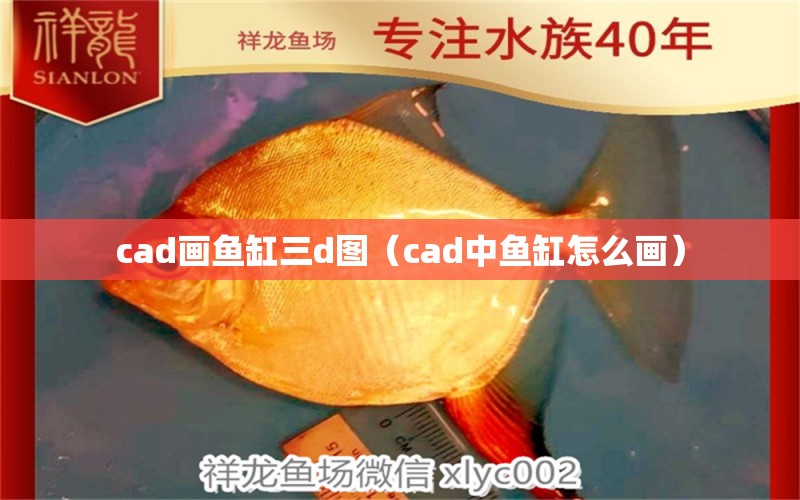 cad畫魚缸三d圖（cad中魚缸怎么畫）