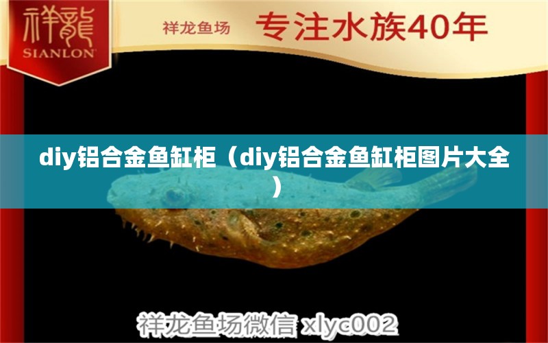 diy鋁合金魚缸柜（diy鋁合金魚缸柜圖片大全） 其他品牌魚缸