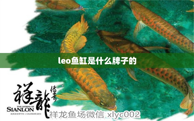 leo魚(yú)缸是什么牌子的