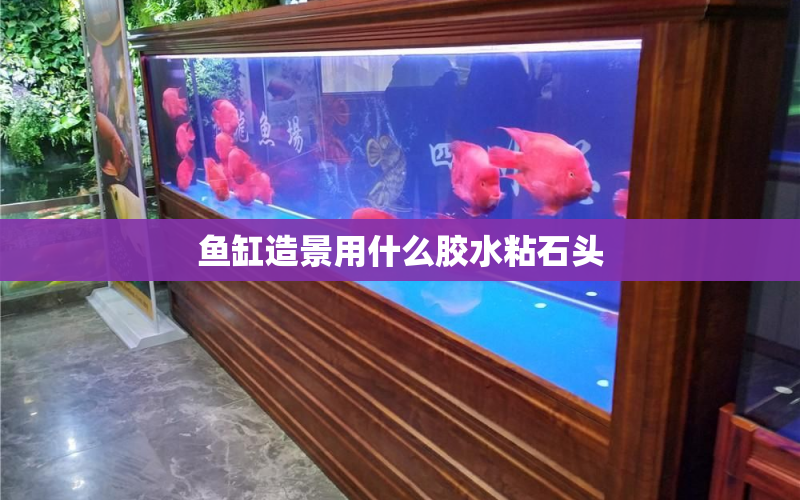 魚缸造景用什么膠水粘石頭 水族問答 第1張