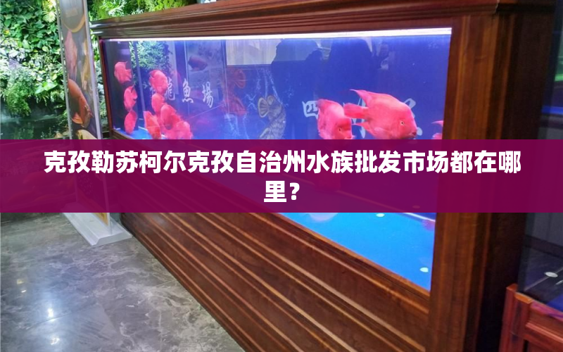 克孜勒蘇柯爾克孜自治州水族批發(fā)市場都在哪里？ 水族問答