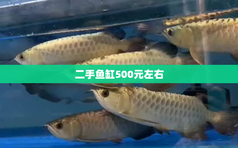 二手魚缸500元左右 水族問答 第1張