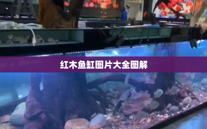 紅木魚缸圖片大全圖解 水族問答 第1張