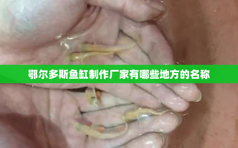 鄂爾多斯魚缸制作廠家有哪些地方的名稱 水族問答 第1張