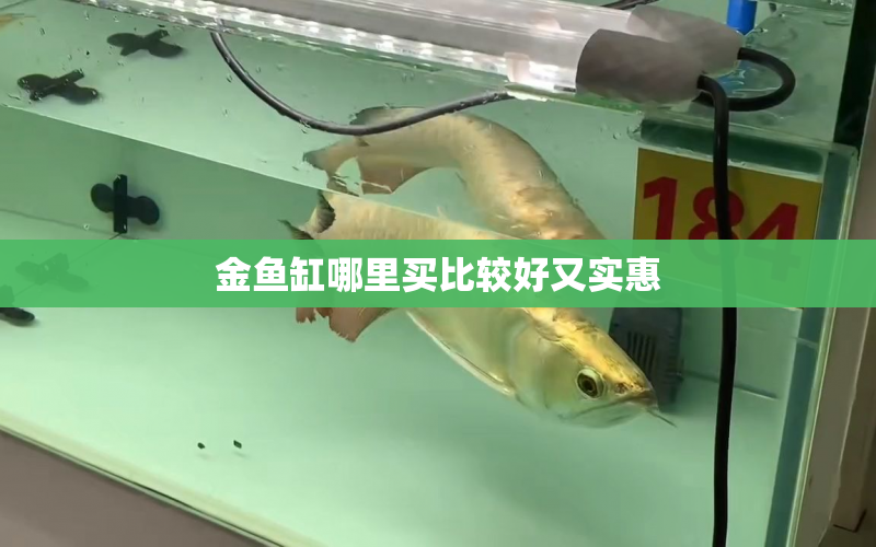 金魚缸哪里買比較好又實惠 水族問答 第1張