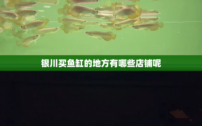 銀川買魚缸的地方有哪些店鋪呢 水族問答 第1張