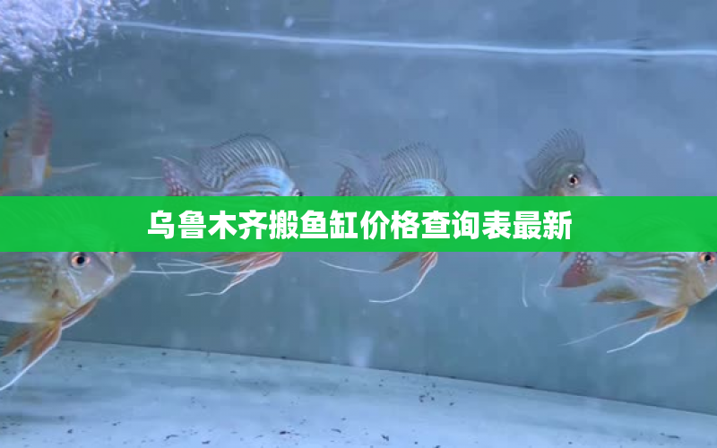 烏魯木齊搬魚缸價(jià)格查詢表最新 水族問(wèn)答 第1張