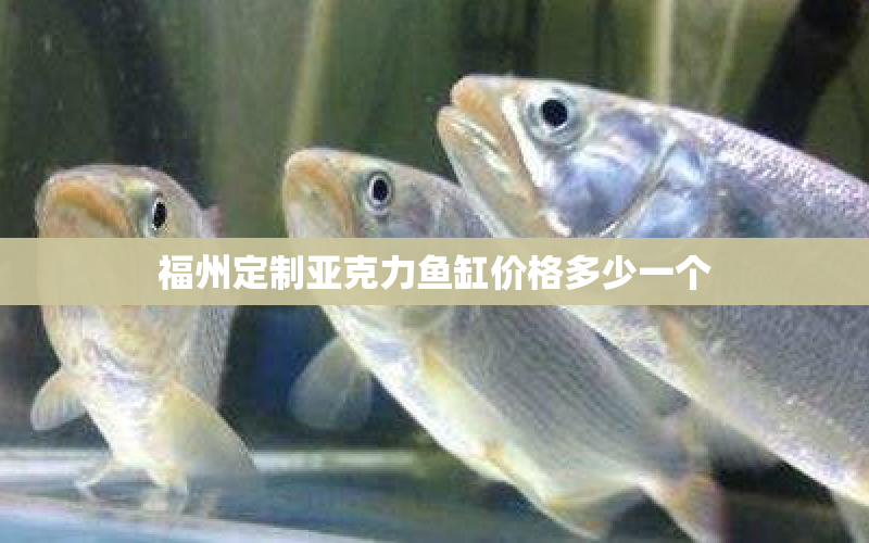福州定制亞克力魚缸價格多少一個 水族問答 第1張