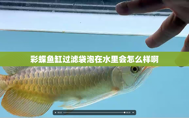 彩蝶魚缸過濾袋泡在水里會(huì)怎么樣啊 水族問答 第1張