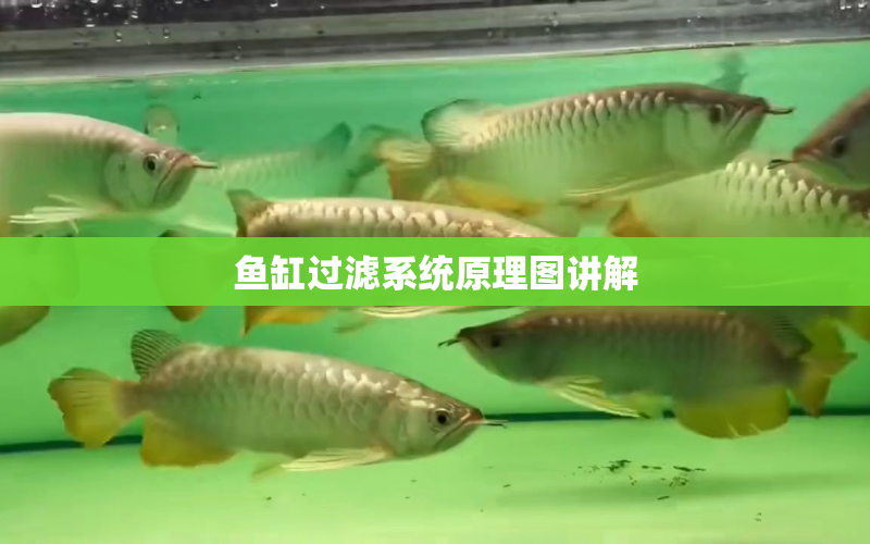 魚缸過濾系統(tǒng)原理圖講解 水族問答 第2張