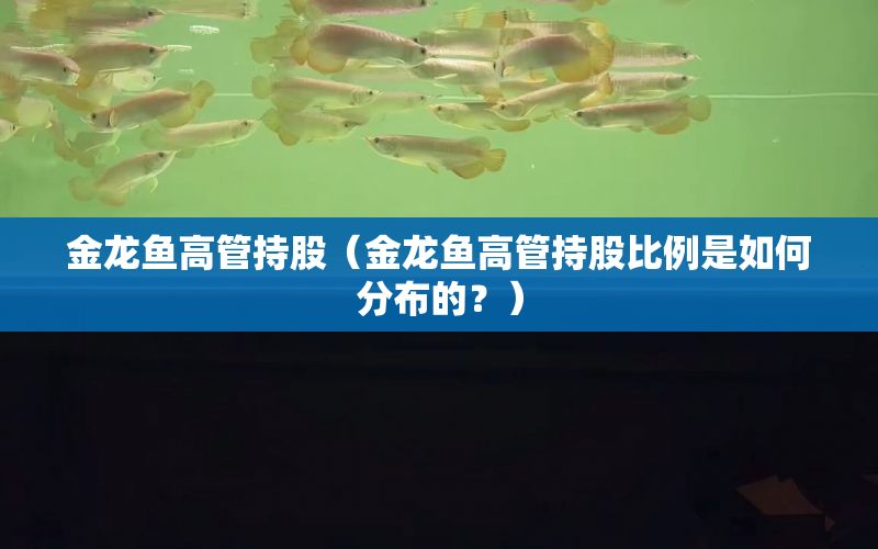 金龍魚高管持股（金龍魚高管持股比例是如何分布的？） 水族問答 第1張