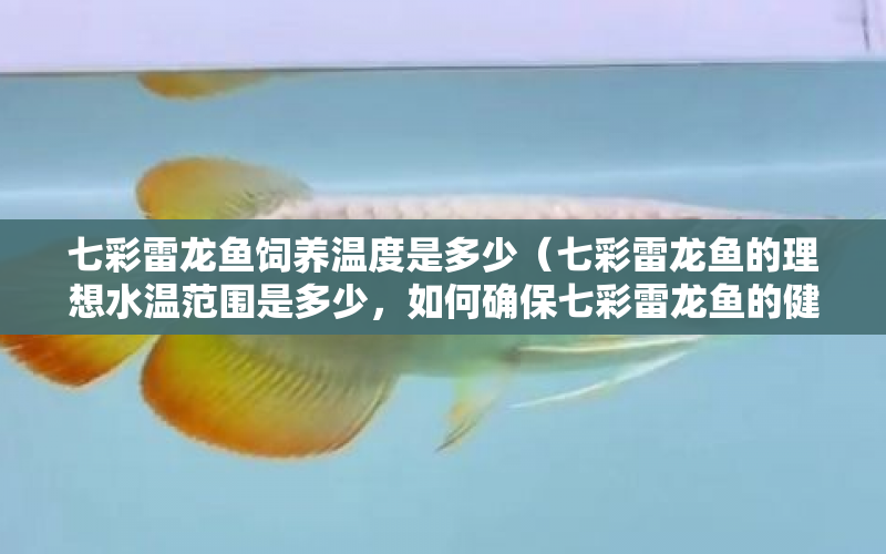 七彩雷龍魚飼養(yǎng)溫度是多少（七彩雷龍魚的理想水溫范圍是多少，如何確保七彩雷龍魚的健康） 水族問答 第1張