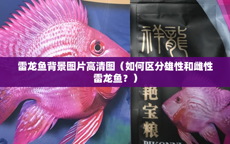 雷龍魚背景圖片高清圖（如何區(qū)分雄性和雌性雷龍魚？） 水族問答 第1張