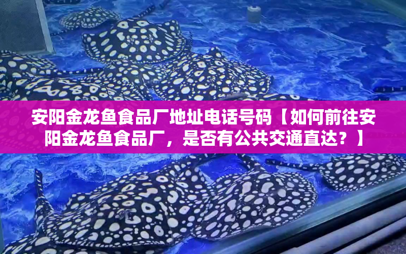 安陽金龍魚食品廠地址電話號碼【如何前往安陽金龍魚食品廠，是否有公共交通直達(dá)？】 水族問答 第1張