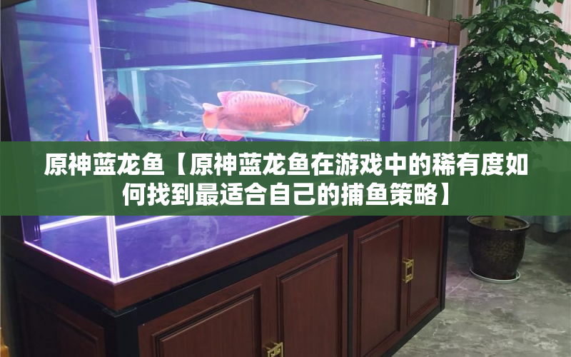 原神藍龍魚【原神藍龍魚在游戲中的稀有度如何找到最適合自己的捕魚策略】 水族問答 第1張