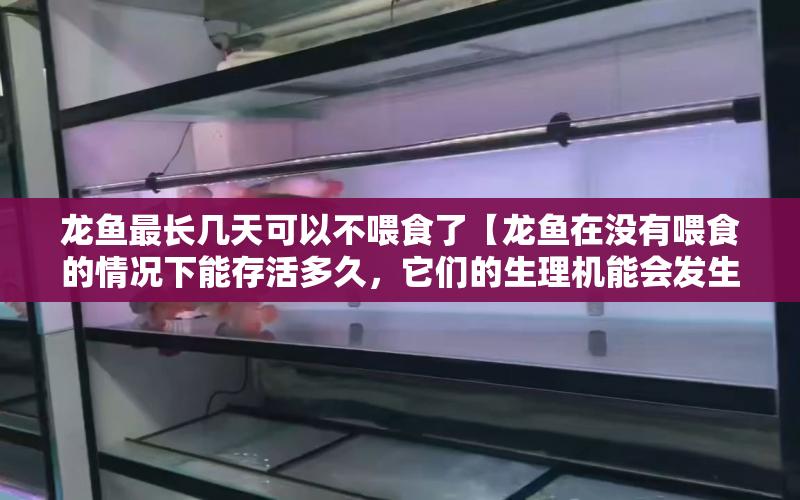 龍魚最長幾天可以不喂食了【龍魚在沒有喂食的情況下能存活多久，它們的生理機能會發(fā)生哪些變化】 水族問答 第1張