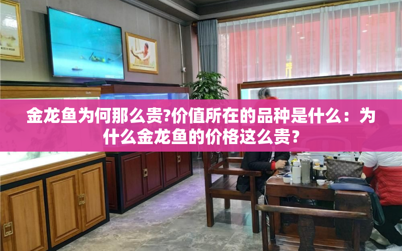 金龍魚(yú)為何那么貴?價(jià)值所在的品種是什么：為什么金龍魚(yú)的價(jià)格這么貴？ 水族問(wèn)答 第1張