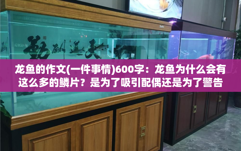 龍魚(yú)的作文(一件事情)600字：龍魚(yú)為什么會(huì)有這么多的鱗片？是為了吸引配偶還是為了警告敵人？ 水族問(wèn)答 第1張