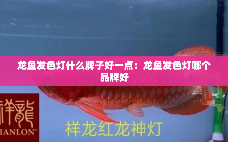 龍魚發(fā)色燈什么牌子好一點：龍魚發(fā)色燈哪個品牌好 水族問答 第1張