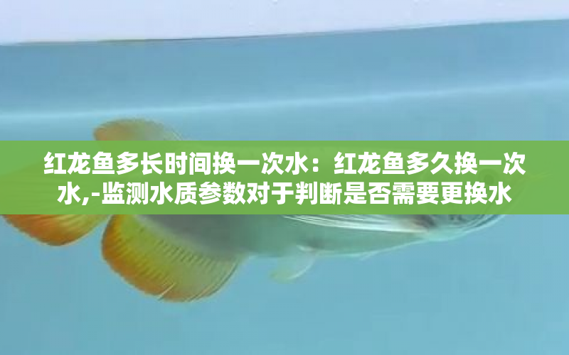 紅龍魚多長時間換一次水：紅龍魚多久換一次水,-監(jiān)測水質(zhì)參數(shù)對于判斷是否需要更換水 水族問答 第1張