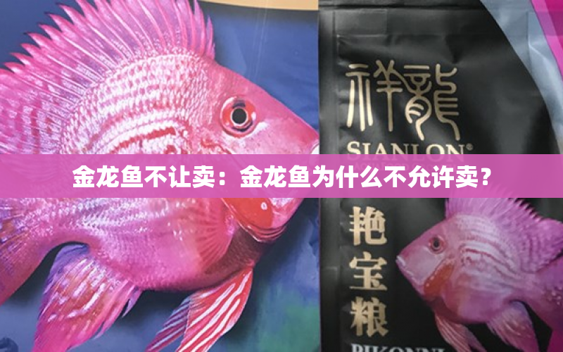 金龍魚不讓賣：金龍魚為什么不允許賣？ 水族問答 第2張