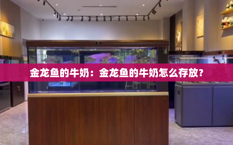 金龍魚的牛奶：金龍魚的牛奶怎么存放？ 水族問答 第1張