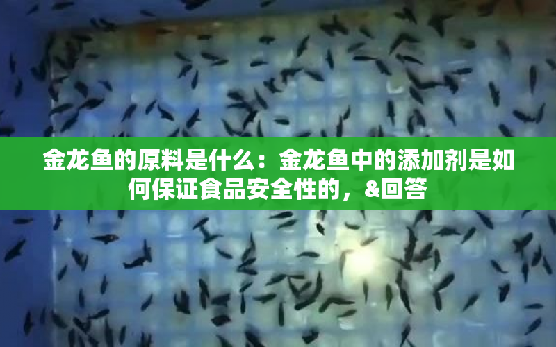 金龍魚的原料是什么：金龍魚中的添加劑是如何保證食品安全性的，&回答 水族問答 第1張