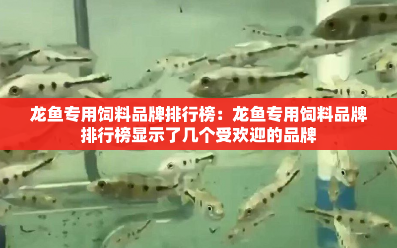 龍魚專用飼料品牌排行榜：龍魚專用飼料品牌排行榜顯示了幾個受歡迎的品牌 水族問答 第1張