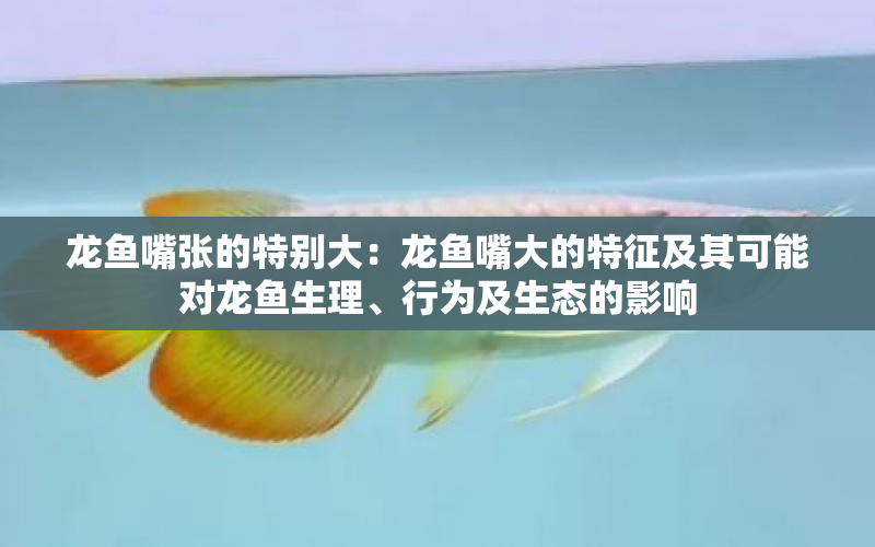 龍魚嘴張的特別大：龍魚嘴大的特征及其可能對龍魚生理、行為及生態(tài)的影響 水族問答 第1張